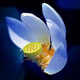 《GTA6》或将引入NPC季节变化和音乐会元素